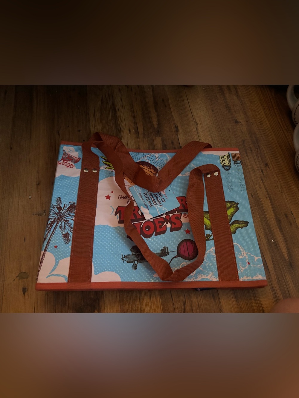 Trader Joe’s collapsible bag nwt